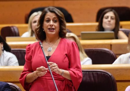 Buj (PP) reprocha a la ministra Saiz que el concierto catalán "crea 'de facto' una frontera económica" imagen-13