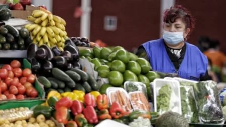 Estratos 1 y 2 serán los más perjudicados con el paro camionero: se les acabará el dinero al comprar estos alimentos imagen-14