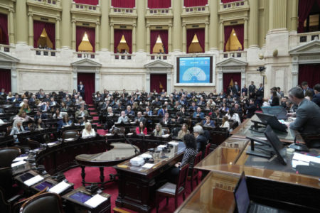 La oposición busca plantarse en el Congreso contra el veto de Milei imagen-12