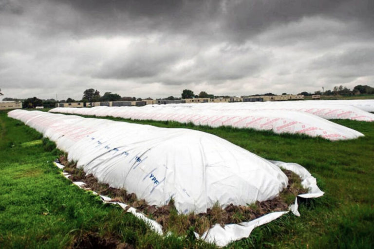 Habló Milei y los dólares del agro se asustaron imagen-4