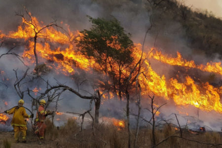 La escandalosa campaña fake de Milei y compañía sobre los incendios en Córdoba imagen-8