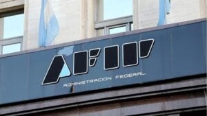 La AFIP habilita por primera vez la posibilidad de pagar un impuesto en dólares desde el exterior imagen-10