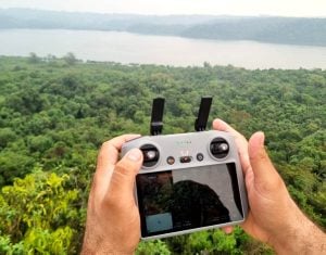 San Ignacio | Avanzan con un programa de reforestación en el Parque Provincial Teyú Cuaré imagen-10