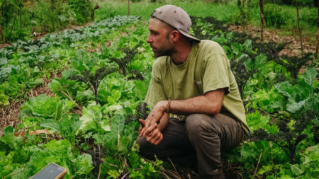 Productores de El Soberbio potencian la agricultura sintrópica y sustentable con bioinsumos imagen-11