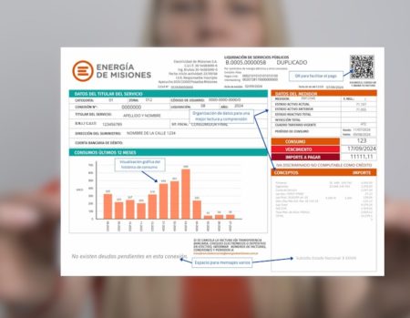 Energía de Misiones presentó una nueva factura: permite un mejor control del consumo imagen-9