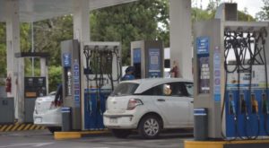 YPF analiza bajar el precio de los combustibles en octubre imagen-3