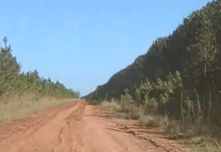 Una turista Italiana sufrió una agresión sexual en un sendero de los Esteros del Iberá | OberaInside.com.ar La Noticia Junto a VosUna turista Italiana... imagen-10