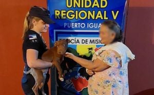 Vivienda allanada en Comandante Andresito escondía más de 40 artículos robados: hasta el perro era ajeno imagen-8