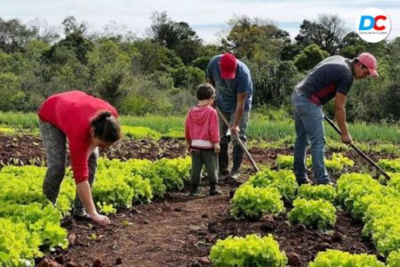 Nuevo respaldo legislativo al desarrollo de la agroecología en la provincia imagen-8