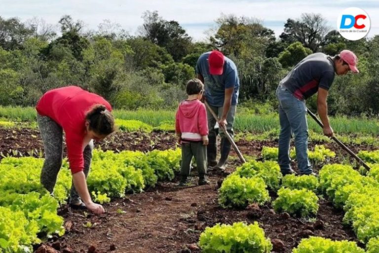 Nuevo respaldo legislativo al desarrollo de la agroecología en la provincia imagen-4