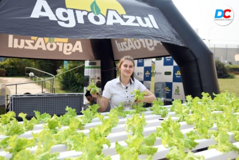 Congreso de Horticultura en Posadas: la sustentabilidad y sus desafíos marcaron la jornada inicial  imagen-4