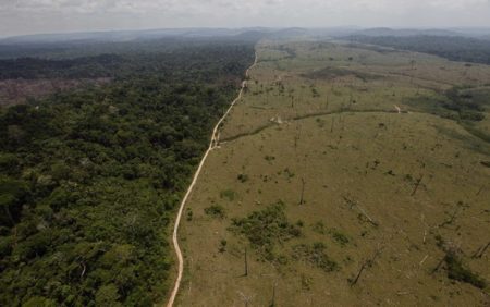 Organizaciones misioneras rechazan el RIGI: “Incrementa la pérdida de soberanía de los bienes naturales” imagen-8