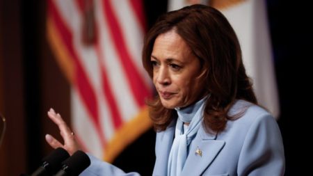 Harris critica a Trump por la reforma migratoria y otros temas clave para atraer a los votantes latinos imagen-7