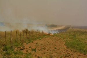 ¿Cómo reducir el riesgo de incendios?: recomendaciones de especialistas del INTA ante la temporada crítica de primavera y verano imagen-7