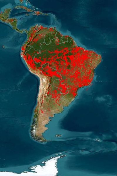 Un denso humo sale de las selvas tropicales producto de los incendios imagen-6