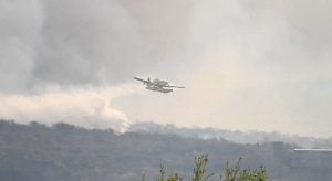 Córdoba | El gobierno provincial se presenta como querellante en la causa que investiga los devastadores incendios rurales imagen-8