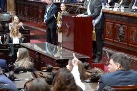 Una diputada de Unión por la Patria le hizo fuck you a Javier Milei mientras presentaba el presupuesto imagen-14