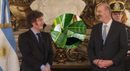 Yerba mate: Federico Sturzenegger celebró el desplome del precio de la hoja verde para el productor imagen-9