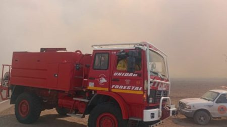 Incendios en Córdoba: el fuego no da tregua y los fuertes vientos complican el trabajo de los brigadistas imagen-12