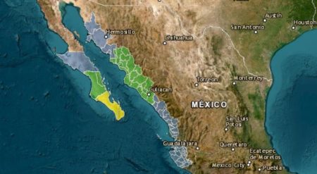 Protección Civil activa alerta por Depresión Tropical Nueve-E; hoy evolucionará a Tormenta Tropical Ileana imagen-16