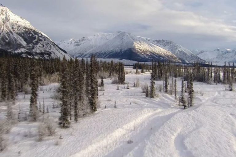 La escalofriante historia del Triángulo de Alaska, el lugar donde desaparecieron más de 20.000 personas imagen-3