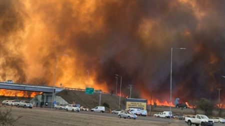 La provincia de Córdoba declara estado de desastre en cuatro provincias debido a los incendios forestales imagen-16