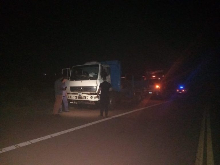 Camionero resultó ileso tras chocar un equino sobre ruta nacional 14 imagen-3