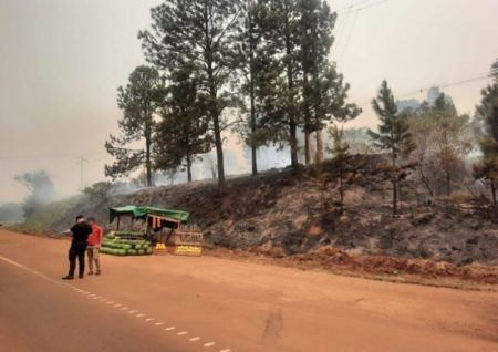 Joven arrojó una colilla de cigarrillo que provocó un incendio sobre ruta 14 imagen-8