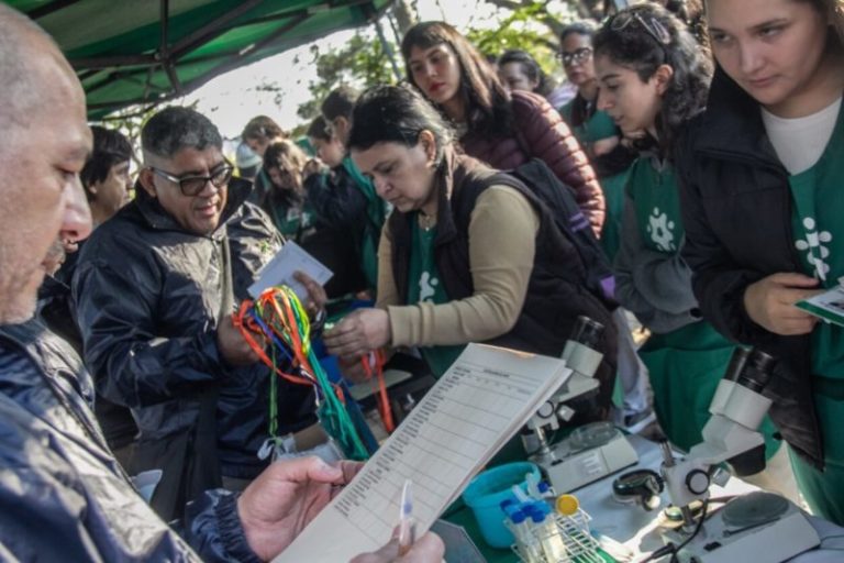 Comenzó un nuevo Operativo Liraa y se estima llegar a las 6.000 viviendas imagen-4