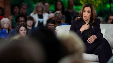 Kamala Harris declaró ser propietaria de armas. ¿Qué sabemos sobre su postura? imagen-6