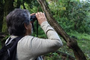 Turismo y biodiversidad: Corpus Christi promueve actividades de avistaje de aves imagen-7