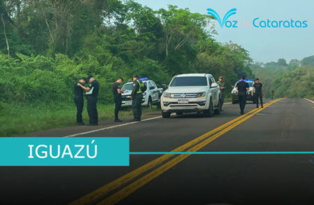 Recuperaron la camioneta robada: fue abandonada tras ser detectada por Gendarmería imagen-10