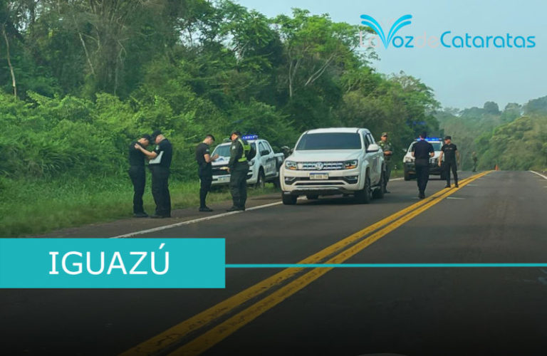 Recuperaron la camioneta robada: fue abandonada tras ser detectada por Gendarmería imagen-4