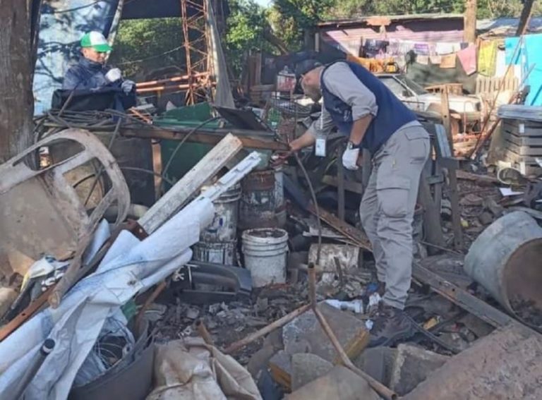 Comenzó el operativo de descacharrado en Posadas imagen-4