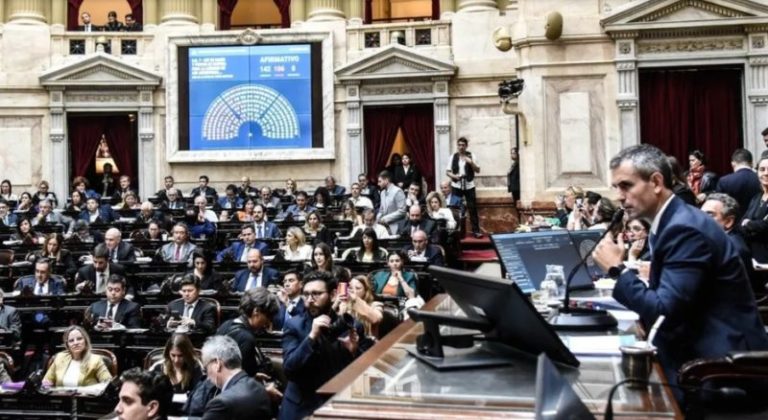 Ley de movilidad jubilatoria: la oposición va contra el veto de Milei en el Congreso imagen-5