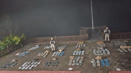 Incautan más de 600 kilos de marihuana en Misiones imagen-6