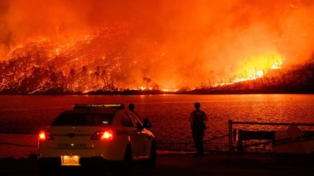 El planeta vive el verano más caluroso jamás registrado por segundo año consecutivo imagen-10