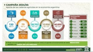 Prevén una caída de las exportaciones agrícolas que impactaría en la recaudación fiscal imagen-10