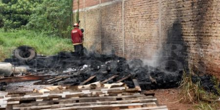 Incendio en un terreno baldío de Posadas generó preocupación: “Se determinó que fue intencional” imagen-5