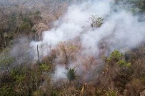 Las emisiones de dióxido de carbono crecieron un 60% por los incendios en la Amazonía brasileña imagen-8