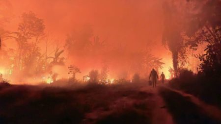 Bolivia declara emergencia nacional por incendios forestales imagen-16