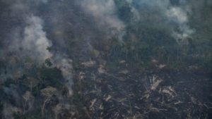 Aumenta a 20 el número de personas fallecidas por los incendios en Perú; el fuego sigue activo en 46 puntos imagen-2