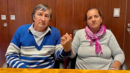 Los padres de Loan presentaron un escrito contra Burlando: “Nos acusa de entregar a nuestro hijo” imagen-9