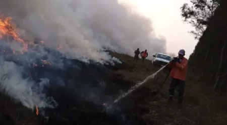 Desde bomberos de la Policía advierten sobre los incendios forestales ante la temporada seca imagen-12