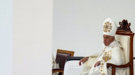 El papa Francisco vuelve a decir que algunas personas prefieren mascotas antes que niños imagen-13