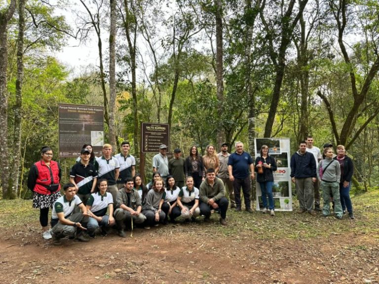 Jóvenes de Eldorado embellecen el Salto Küppers con pérgolas nativas para proteger la biodiversidad imagen-4