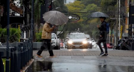 Emiten alerta amarrilla por tormentas en Misiones: “Podría ponerse feo” imagen-7