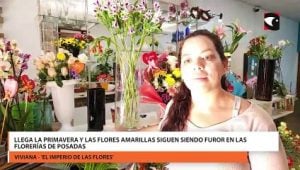 Llega la primavera y las flores amarillas siguen siendo furor en las florerías de Posadas imagen-6