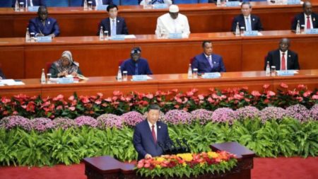 Xi Jinping dirigió un mensaje a decenas de líderes africanos visitantes: elijan China imagen-14