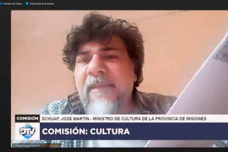 Schuap llevó la voz de Misiones sobre mecenazgo a la Comisión de Cultura de Nación imagen-35